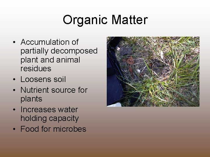 Organic Matter • Accumulation of partially decomposed plant and animal residues • Loosens soil