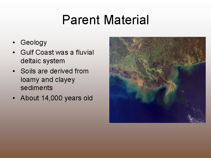 Parent Material • Geology • Gulf Coast was a fluvial deltaic system • Soils