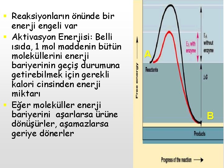 § Reaksiyonların önünde bir enerji engeli var § Aktivasyon Enerjisi: Belli ısıda, 1 mol