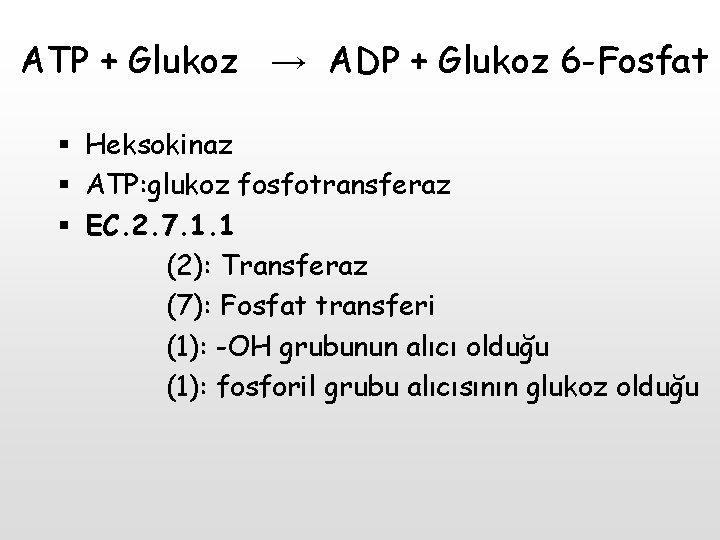 ATP + Glukoz → ADP + Glukoz 6 -Fosfat § Heksokinaz § ATP: glukoz