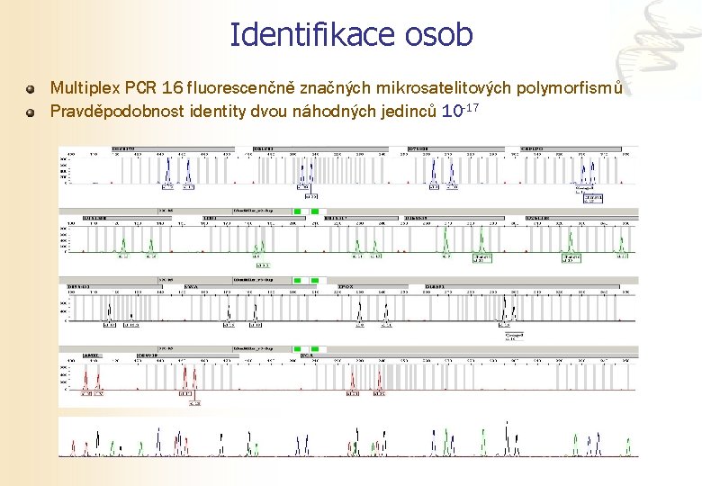 Identifikace osob Multiplex PCR 16 fluorescenčně značných mikrosatelitových polymorfismů Pravděpodobnost identity dvou náhodných jedinců