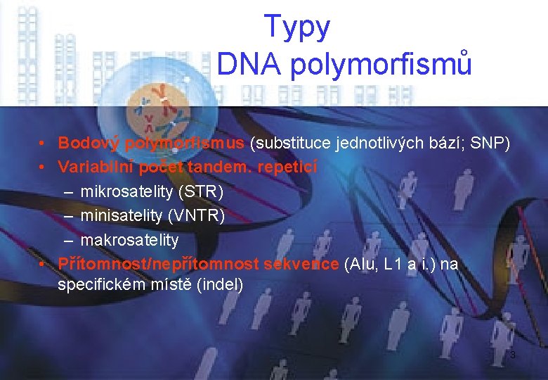 Typy DNA polymorfismů • Bodový polymorfismus (substituce jednotlivých bází; SNP) • Variabilní počet tandem.