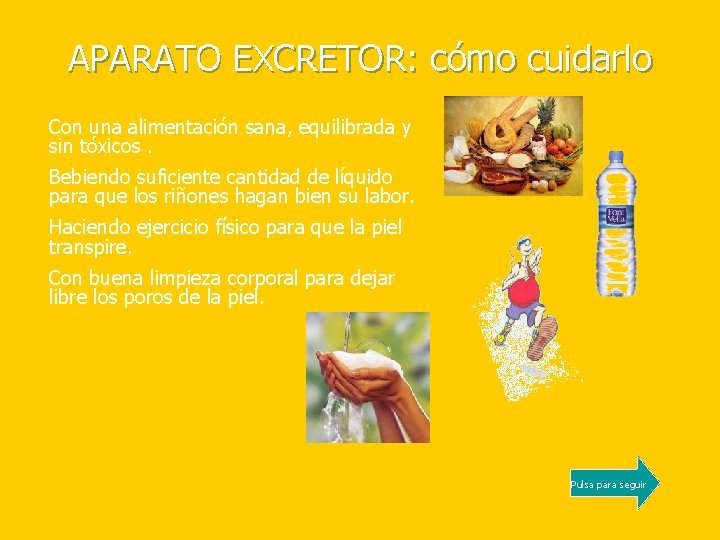 APARATO EXCRETOR: cómo cuidarlo Con una alimentación sana, equilibrada y sin tóxicos. Bebiendo suficiente