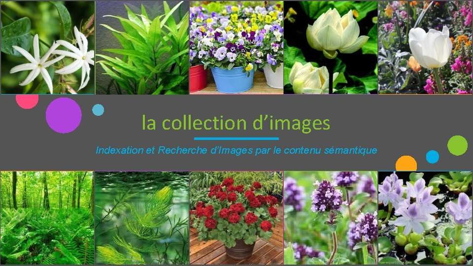 la collection d’images Indexation et Recherche d’Images par le contenu sémantique 