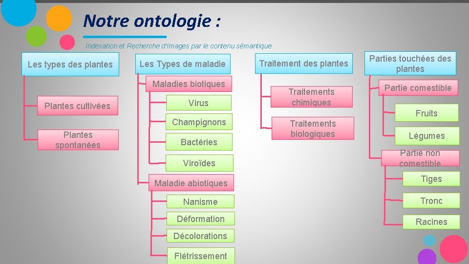 Notre ontologie : Indexation et Recherche d’Images par le contenu sémantique Les types des