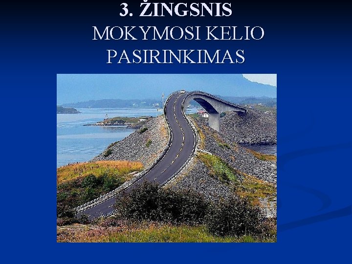 3. ŽINGSNIS MOKYMOSI KELIO PASIRINKIMAS 