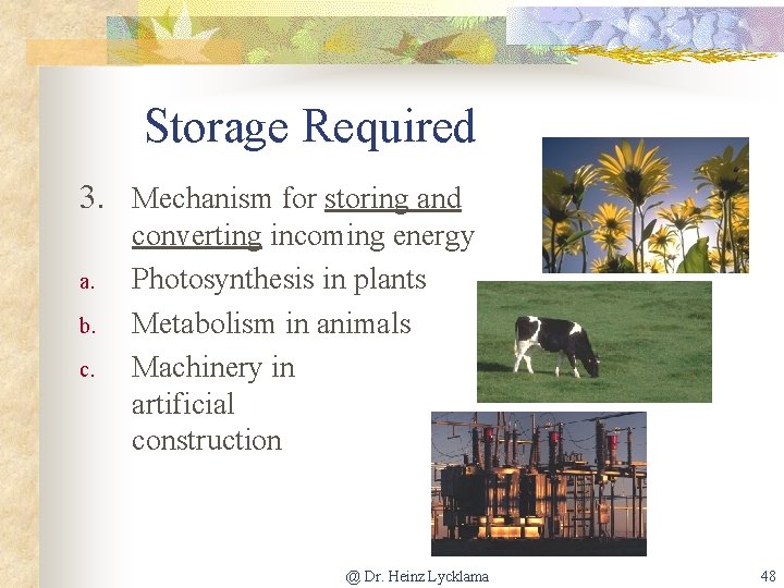 Storage Required 3. Mechanism for storing and a. b. c. converting incoming energy Photosynthesis