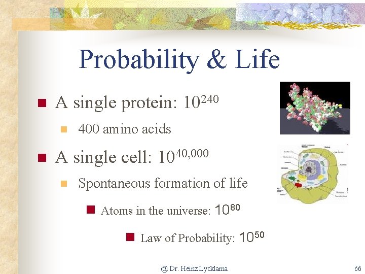 Probability & Life n A single protein: 10240 n n 400 amino acids A