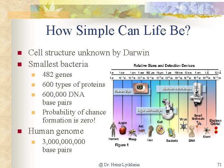 How Simple Can Life Be? n n Cell structure unknown by Darwin Smallest bacteria