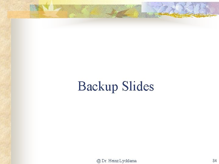 Backup Slides @ Dr. Heinz Lycklama 84 