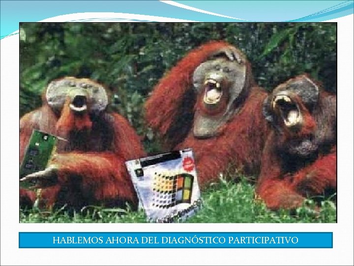 HABLEMOS AHORA DEL DIAGNÓSTICO PARTICIPATIVO 
