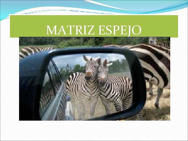 MATRIZ ESPEJO 