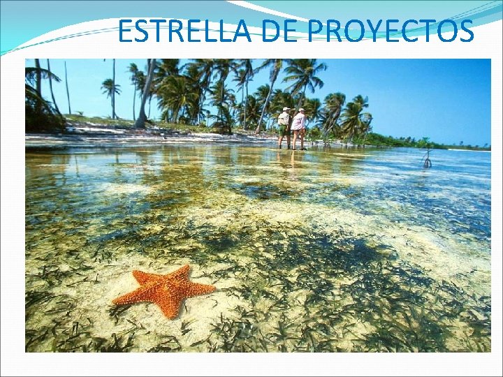 ESTRELLA DE PROYECTOS 