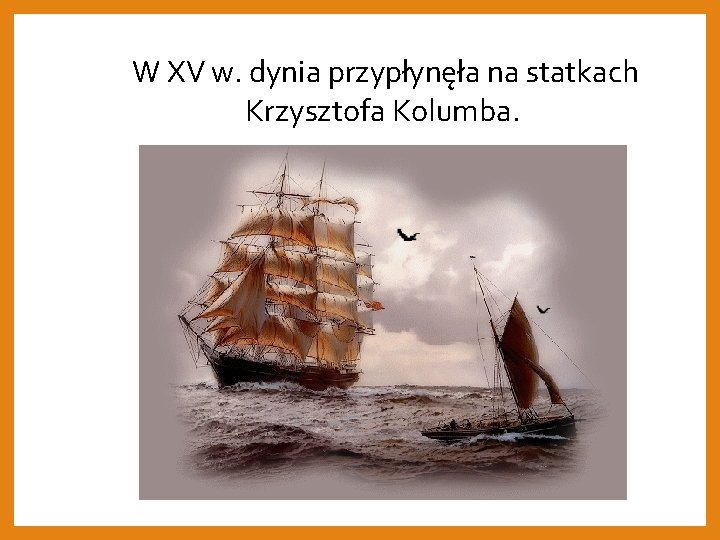  W XV w. dynia przypłynęła na statkach Krzysztofa Kolumba. 