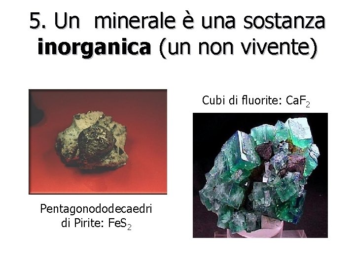 5. Un minerale è una sostanza inorganica (un non vivente) Cubi di fluorite: Ca.