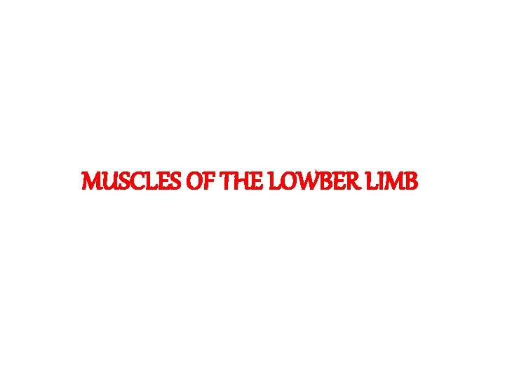 MUSCLES OF THE LOWBER LIMB 
