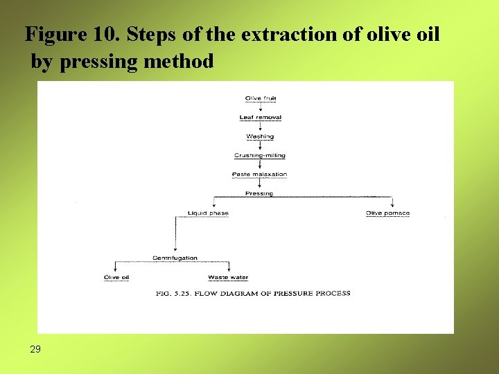 Figure 10. Steps of the extraction of olive oil by pressing method 29 