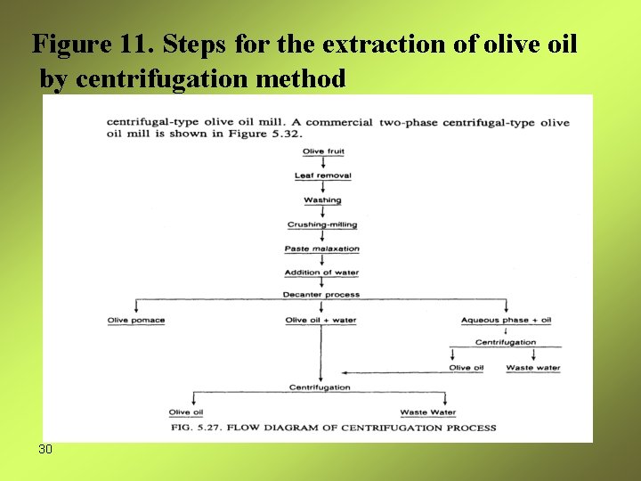 Figure 11. Steps for the extraction of olive oil by centrifugation method 30 