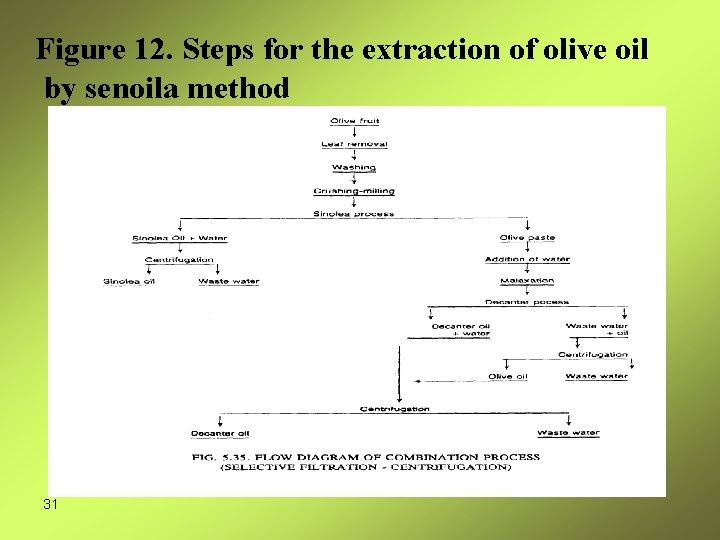 Figure 12. Steps for the extraction of olive oil by senoila method 31 