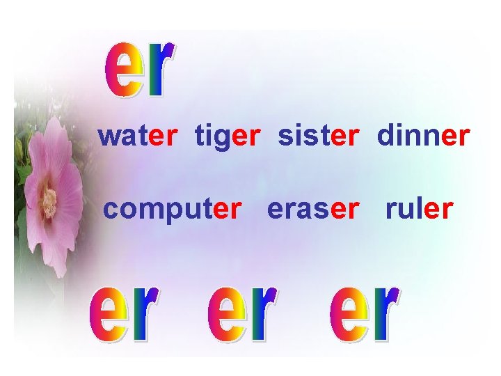 water tiger sister dinner computer eraser ruler 