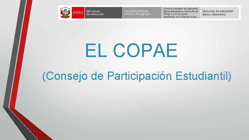 EL COPAE (Consejo de Participación Estudiantil) 