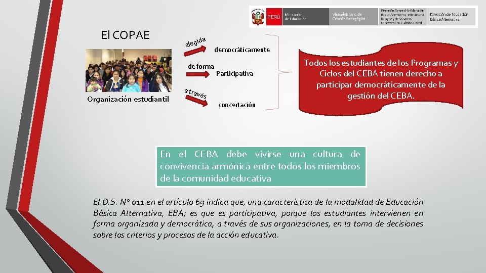 El COPAE a id eleg de forma Organización estudiantil democráticamente Participativa a tra vés