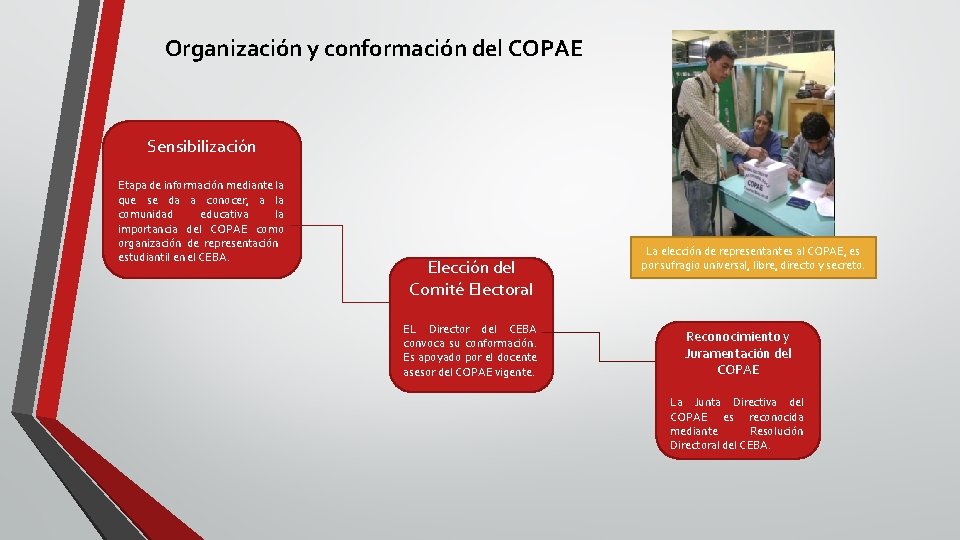 Organización y conformación del COPAE Sensibilización Etapa de información mediante la que se da