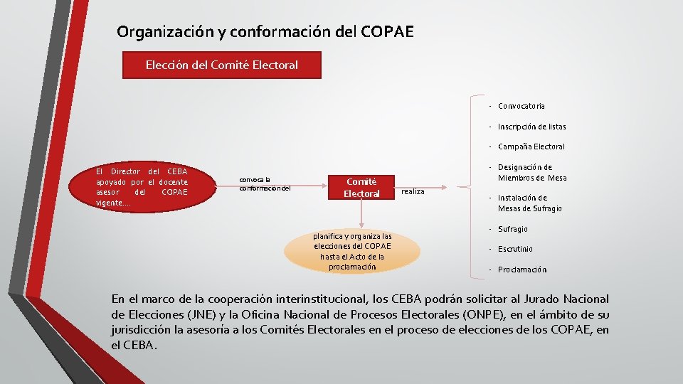 Organización y conformación del COPAE Elección del Comité Electoral - Convocatoria - Inscripción de