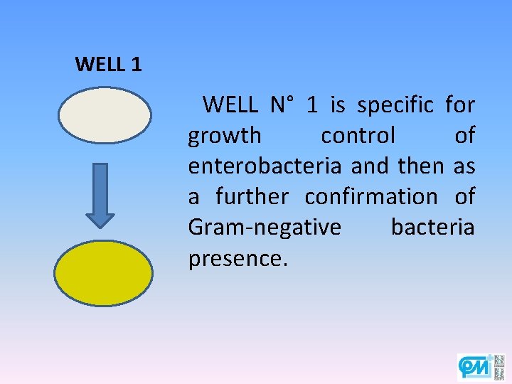 WELL 1 WELL N° 1 is specific for growth control of enterobacteria and then