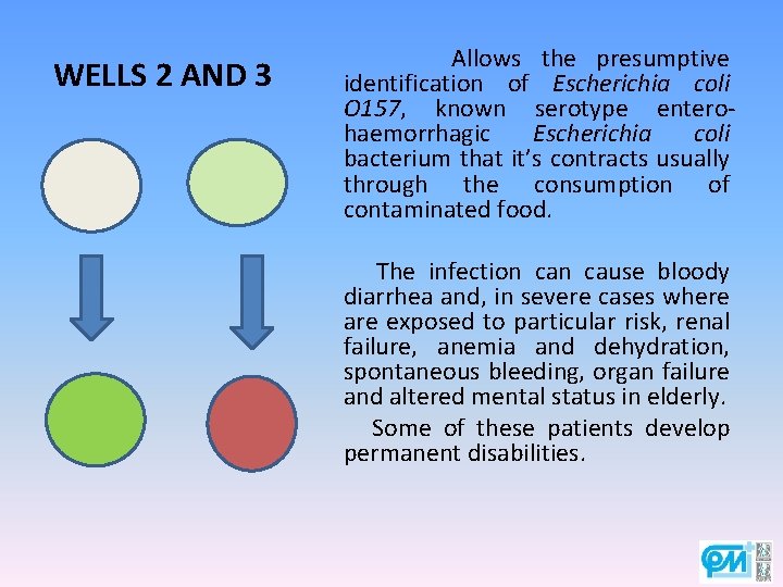 WELLS 2 AND 3 Allows the presumptive identification of Escherichia coli O 157, known