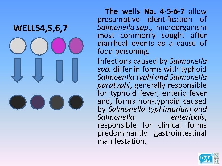 WELLS 4, 5, 6, 7 The wells No. 4 -5 -6 -7 allow presumptive