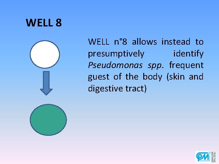 WELL 8 WELL n° 8 allows instead to presumptively identify Pseudomonas spp. frequent guest