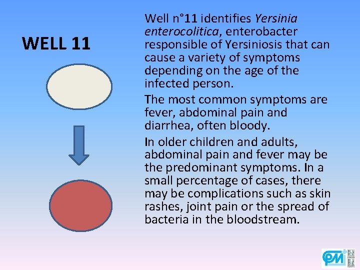 WELL 11 Well n° 11 identifies Yersinia enterocolitica, enterobacter responsible of Yersiniosis that can