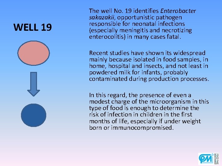 WELL 19 The well No. 19 identifies Enterobacter sakazakii, opportunistic pathogen responsible for neonatal