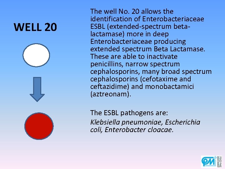 WELL 20 The well No. 20 allows the identification of Enterobacteriaceae ESBL (extended-spectrum betalactamase)