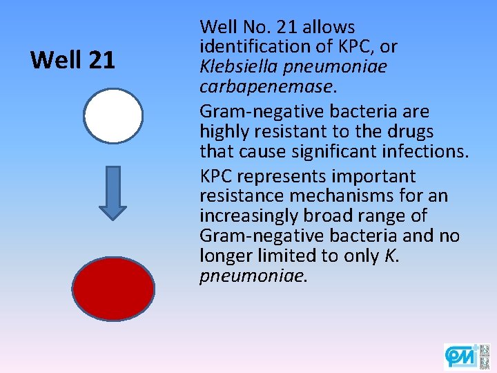 Well 21 Well No. 21 allows identification of KPC, or Klebsiella pneumoniae carbapenemase. Gram-negative