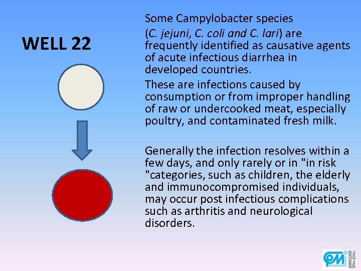 WELL 22 Some Campylobacter species (C. jejuni, C. coli and C. lari) are frequently