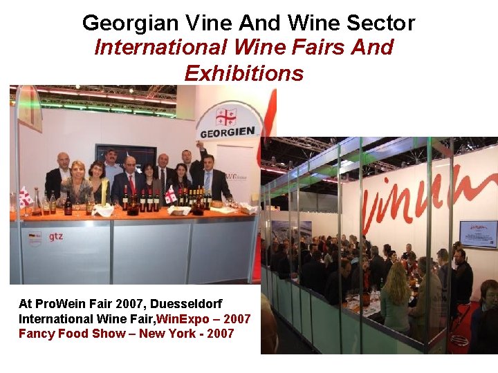 Georgian Vine And Wine Sector International Wine Fairs And Exhibitions At Pro. Wein Fair