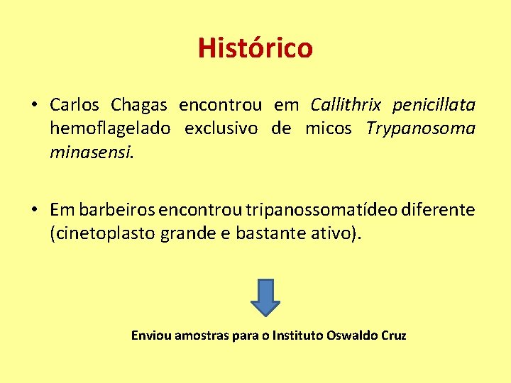 Histórico • Carlos Chagas encontrou em Callithrix penicillata hemoflagelado exclusivo de micos Trypanosoma minasensi.