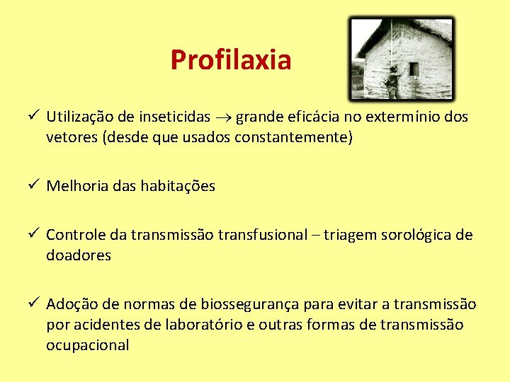 Profilaxia ü Utilização de inseticidas grande eficácia no extermínio dos vetores (desde que usados