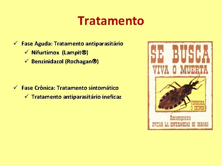 Tratamento ü Fase Aguda: Tratamento antiparasitário ü Nifurtimox (Lampit ) ü Benzinidazol (Rochagan )