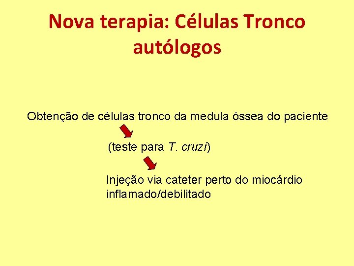 Nova terapia: Células Tronco autólogos Obtenção de células tronco da medula óssea do paciente