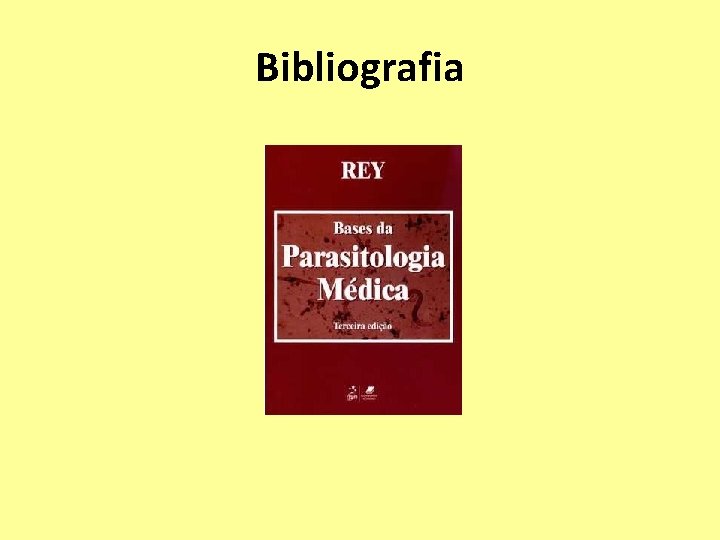 Bibliografia 