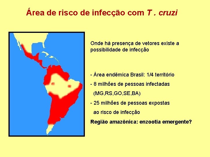 Área de risco de infecção com T. cruzi Onde há presença de vetores existe