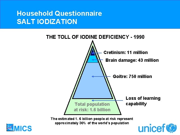 Household Questionnaire SALT IODIZATION THE TOLL OF IODINE DEFICIENCY - 1990 Cretinism: 11 million