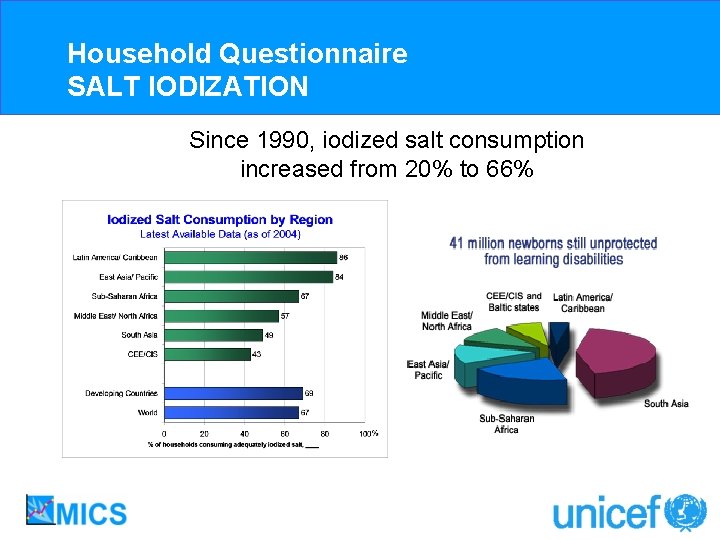 Household Questionnaire SALT IODIZATION Since 1990, iodized salt consumption increased from 20% to 66%