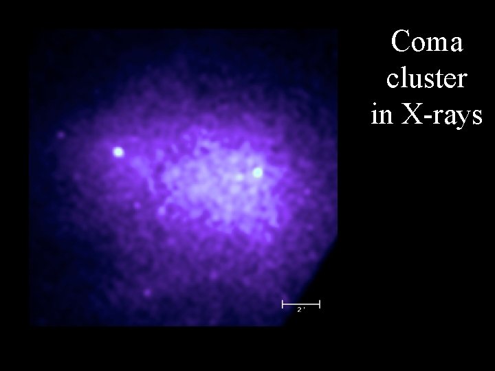 Coma cluster in X-rays 