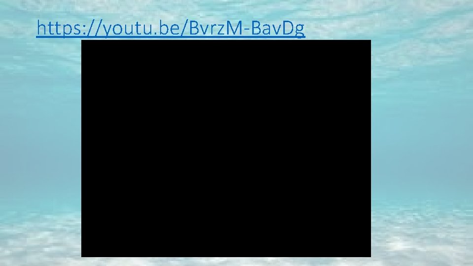 https: //youtu. be/Bvrz. M-Bav. Dg https: //youtu. be/Bvrz. M-Bav. Dg
