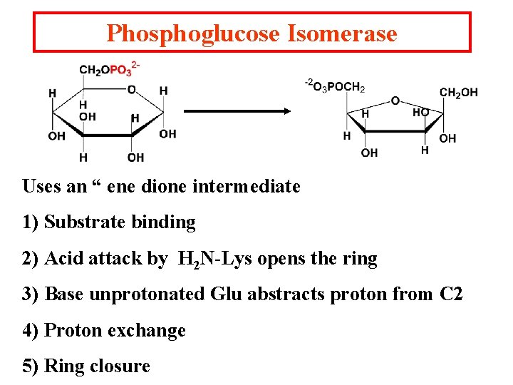 Phosphoglucose Isomerase Uses an “ ene dione intermediate 1) Substrate binding 2) Acid attack