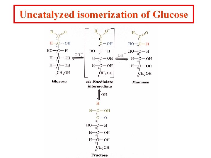 Uncatalyzed isomerization of Glucose 